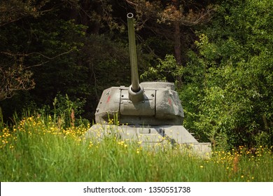 Tank Of World War 2 In The Forest