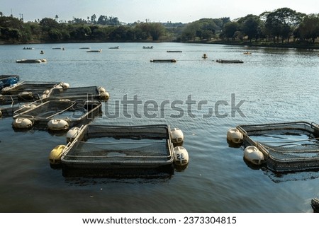 Tanks used for raising tilapia on a fish farm in Brazil