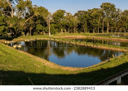 Tanks used for raising tilapia on a fish farm in Brazil