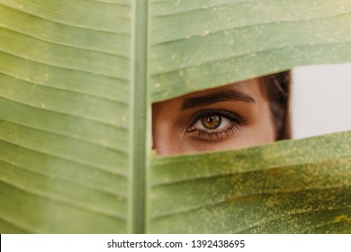 Tanned girl mysteriously looks into camera, covering her face with leaf of tropical plant