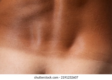 Tanned Skin Macro Detail Texture, Lower Back Male Body Close Up, Tan Line