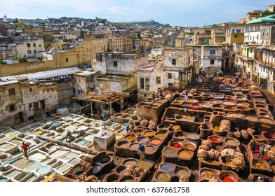 Tannery In Fez, Morocco