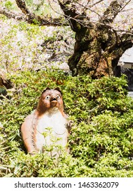 tanuki doll