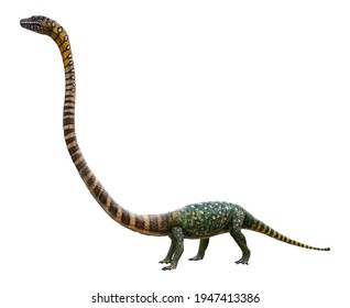 Tanystropheus Images Stock Photos Vectors Shutterstock