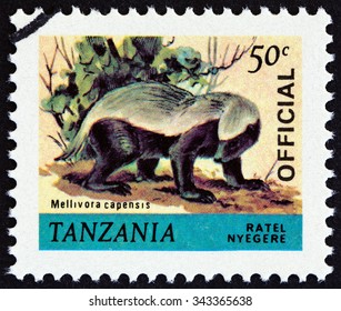 TANZANIA - CIRCA 1980: A stamp printed in Tanzania from the "Animals " issue shows Ratel (Mellivora capensis), circa 1980.