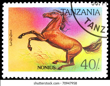 TANZANIA - CIRCA 1993: A Stamp Printed In Tanzania Showing Nonius Horse, Circa 1993