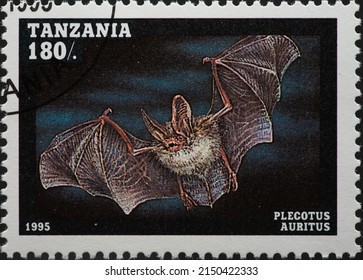 TANZANIA - CIRCA 1995: a postage stamp from TANZANIA, showing a Brown Long-eared Bat (Plecotus auritus). Circa 1995