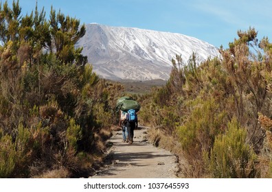 Tanzania, Kilimanjaro National Park. View to snow caped Uhuru peak of Kilimanjaro mountain from tracking  path.  Porters carry luggage on head.  - Powered by Shutterstock