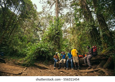 TANZANIA, KILIMANJARO - OCTOBER 12, 2016: Kilimanjaro National Park, Jungle With Guide, Porter And Cameraman