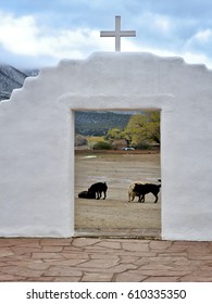 Taos,New Mexico/United States-OCTOBER 27, 2011: Black And White Dogs Play At The Entrance Of San Geronimo Church In The Taos Pueblo Indian Reservation Against A Beautiful Fall Landscape