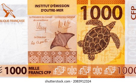 Tapa cloth pattern from Wallis Island; Stingray (Manta); tortoise. Portrait from French Pacific Territories 1000 Francs 2014 Banknotes.