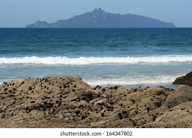 Taranga Island From Waipu Cove