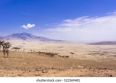 Tarangire National Park