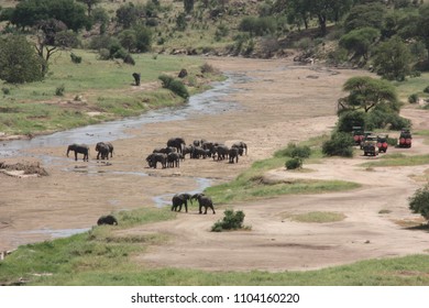 Tarangire National Park, Tanzania