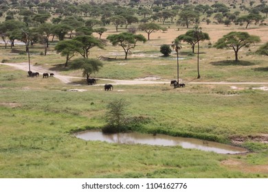 Tarangire National Park, Tanzania