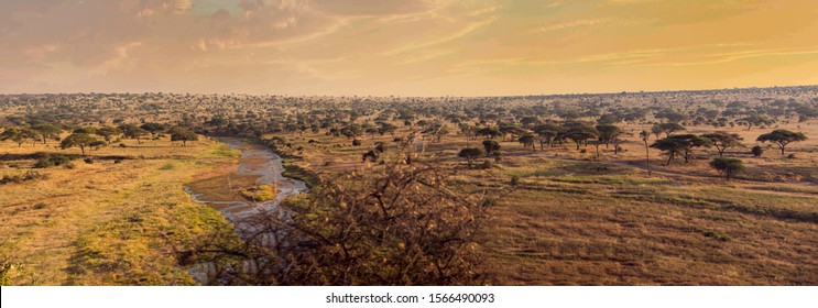 Tarangire, A Perennial River Located In The Eastern Branch Of The East African Rift Valley