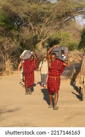 Tarangire, Tanzania - October 12th, 2022: Two Masai Porters Carrying Luggage In A Savannah Lodge In Tanzania.