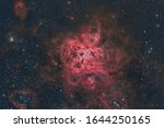 The Tarantula Nebula in Color and Hydrogen