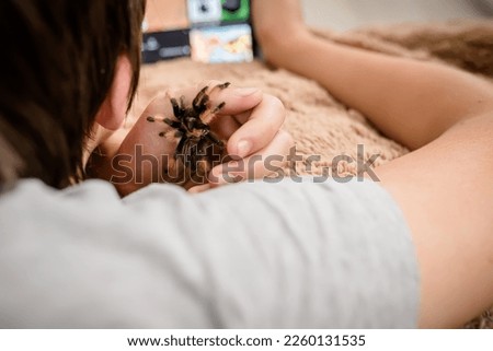 A tarantula spider in the hands of a child. Fearless Boy with a Scary Pet Watches Educational Videos on Tablet