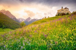 Tarasp With Colorful Wildflowers And Meadows At Springtime, Engadine, Swiss Alps