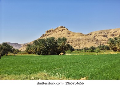 Tarim, Hadhramaut, Yemen