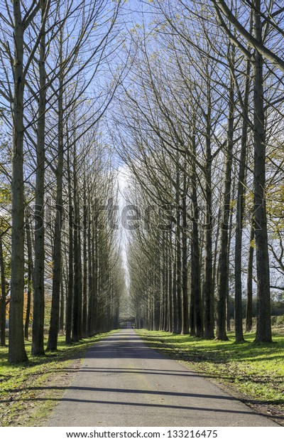 a tarmac country lane or road in a rural\
environment in the\
countryside