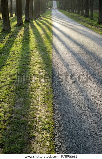 a tarmac country lane or road in a rural\
environment in the\
countryside