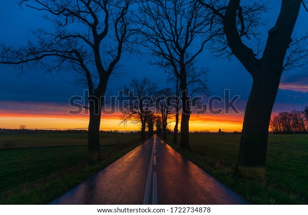 Tarmac road and sunset. Tree near road. After\
storm landscape