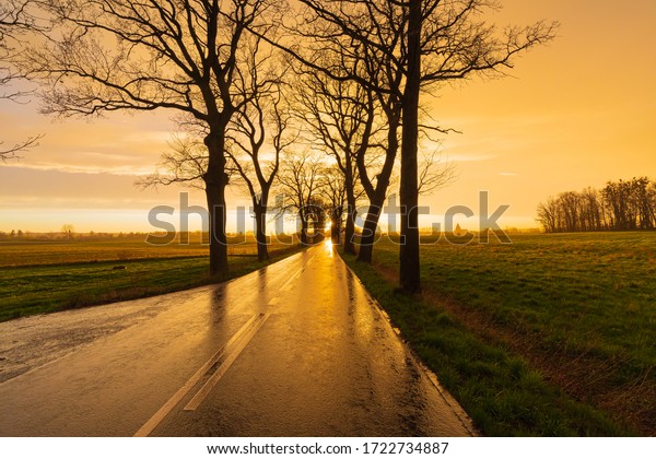 Tarmac road and sunset. Tree near road. After\
storm landscape