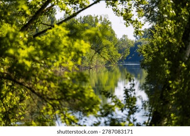 Tarn river bordered by a dense riparian forest, flowing peacefully in spring at Villemur-sur-Tarn
