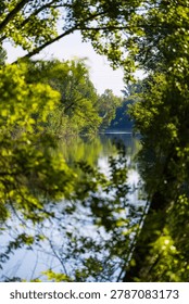 Tarn river bordered by a dense riparian forest, flowing peacefully in spring at Villemur-sur-Tarn