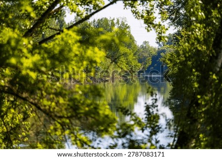 Tarn river bordered by a dense riparian forest, flowing peacefully in spring at Villemur-sur-Tarn