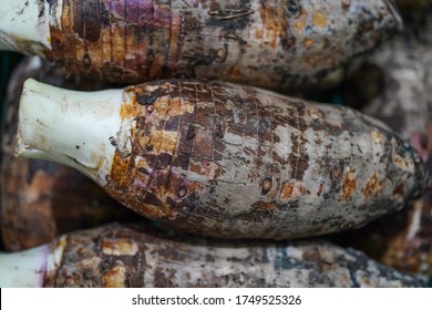Taro head, white core, brown bark for use as food                       - Shutterstock ID 1749525326