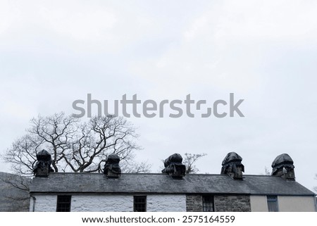 Image, Stock Photo Terrace stones wrapped with blue packing tape