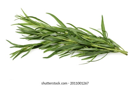 Tarragon, Artemisia Dracunculus, is an important medicinal and herb plant