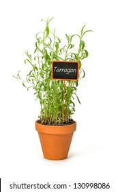 Tarragon In A Clay Pot With A Wooden Label
