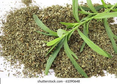 Tarragon Dried Herb And Green Plant