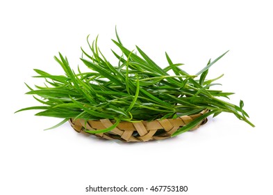 Tarragon herbs close up isolated on white.