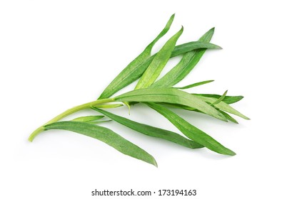 Tarragon herbs close up on white isolated. 
