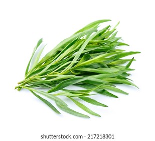 Tarragon herbs close up on white background.