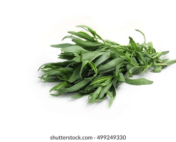 Tarragon Isolated On White 