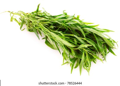 Tarragon Isolated On White