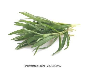 Tarragon Isolated On White Background