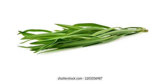 Tarragon Isolated On A White Background.