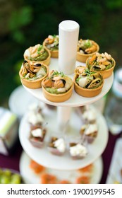 Tartlets With Mussels Buffet Table Outdoors