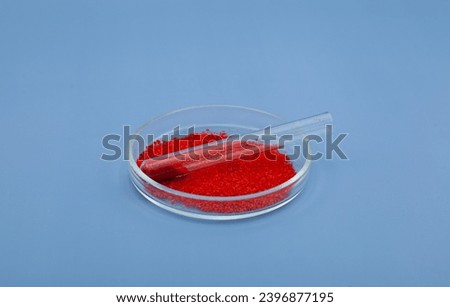 Tartrazine powder in glass Petri dish on blue background, side view. Food coloring CI 19140. Food additive E102. Tartrazine is a synthetic lemon yellow azo dye.