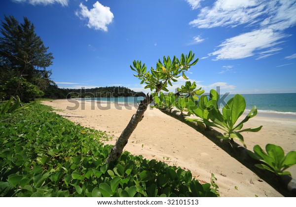 Tarutao National Park Large Tropical Island Stock Photo Edit Now