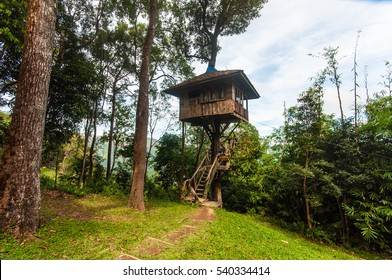 Tarzan Style House In Jungle