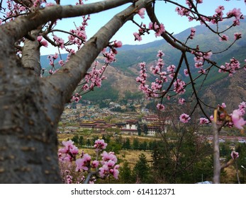 Tashichhodzong, Thimphu