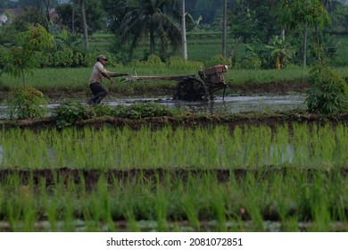 Petani Indonesia Images, Stock Photos u0026 Vectors  Shutterstock